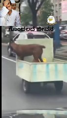 Project_05-25_HD 720p_MEDIUM_FR30