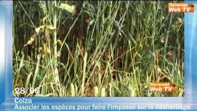 Juillet août 2010 : une moisson de qualité, l’Apli toujours vivante, Sarkozy en voyage dans l’Aveyron