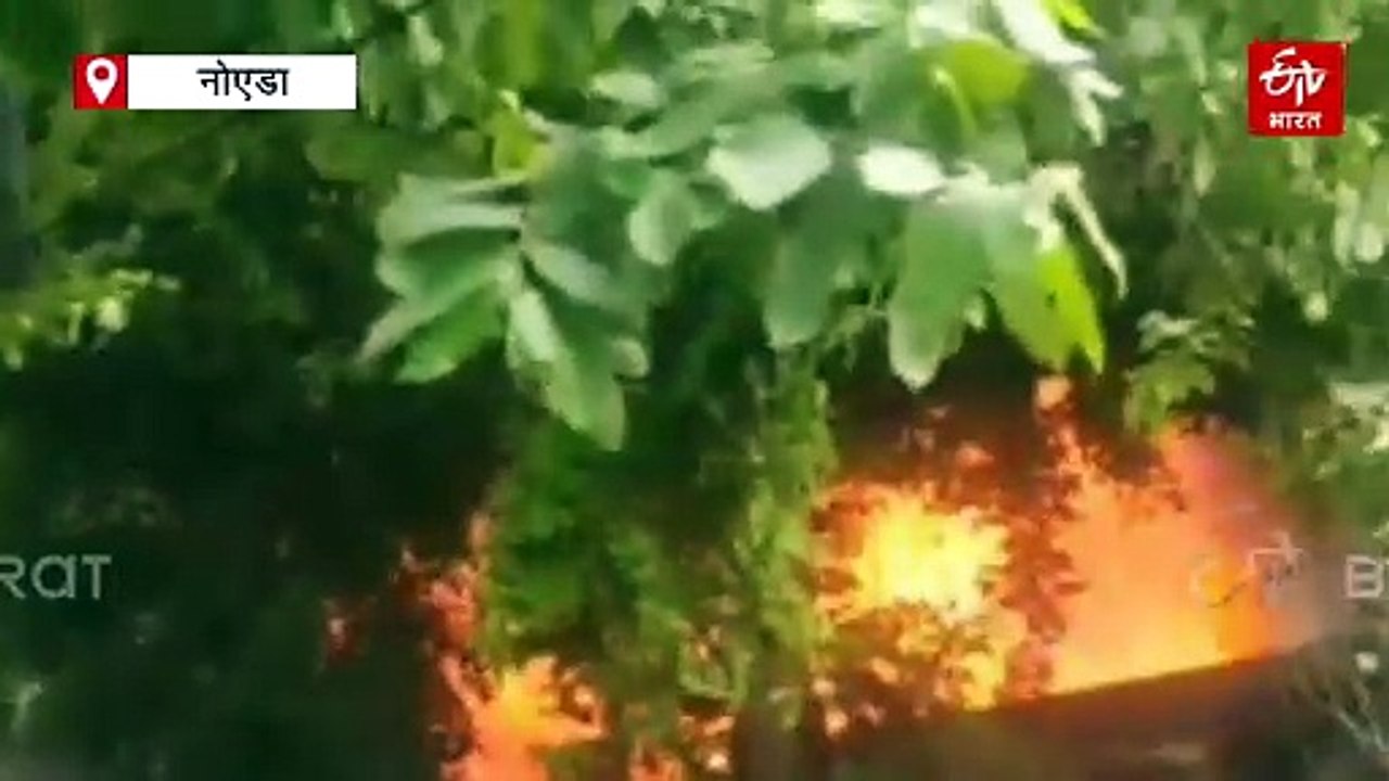 नोएडा में बंद पड़ी कंपनी में लगी भीषण आग, कड़ी...