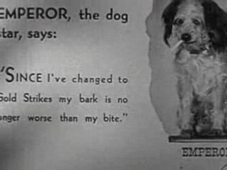 Hollywood and Vine DVD (1945) – Hilarious Satire of Celebrity Culture 🎬