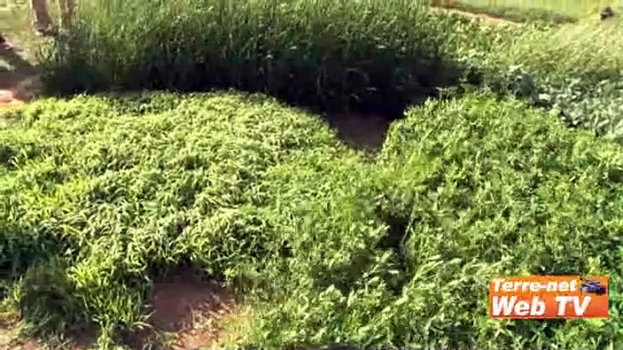 Julien Greffier, Gnis « Il ne va pas falloir attendre longtemps pour commander des semences fourragères »