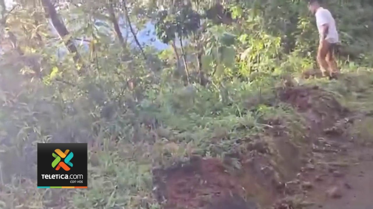 tn7-carro-cae-a-gindo-080724