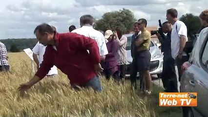 Eric Modard (céréalier) : « Moins de charges opérationnelles, moins de produits, et plus d'Ebe »