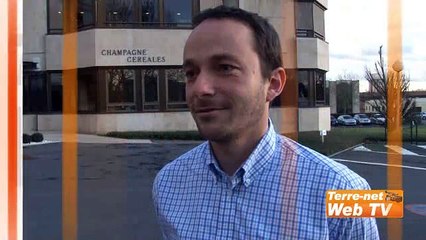 Le maïs empêche l'effondrement du marché du blé