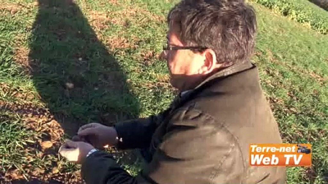 Xavier Talpe (polyculteur) : « Le bon développement des colzas à l’automne devrait me permettre de faire l’impasse sur 40 à 50 unités d’azote »