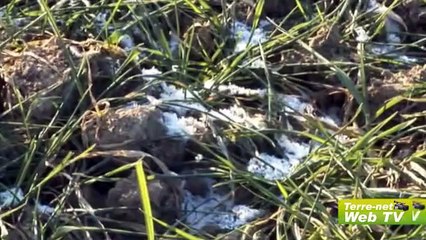 Benoît Labouille (Oda) : « Des blés détruits dans la Beauce et dans le centre de la France »