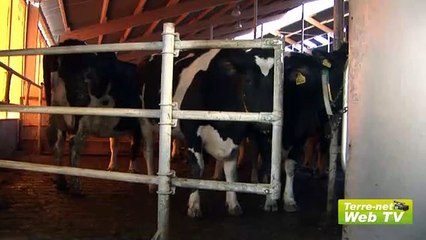 Visites guidées, réelles et en 3D de 2 exploitations laitières