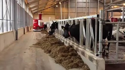 Lely fait sa révolution jaune et présente le système d'alimentation automatisé Vector