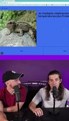 QUIZZ CULTURE G ! Episode 300 ! (Vidéo exclusive dailymotion)