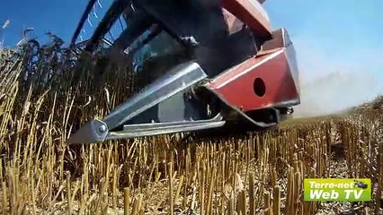 Pour de nombreux agriculteurs, les récoltes seront moins bonnes qu'initialement prévu