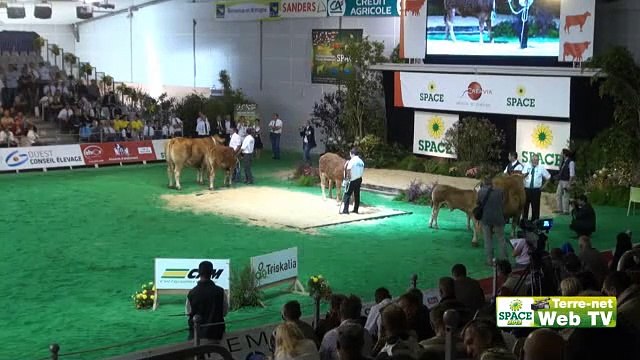 Les premières génisses génotypées vendues aux enchères partent pour les Pays-Bas