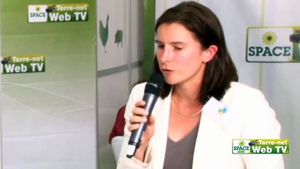 Jongler avec les contrats et les marchés à terme pour limiter la flambée des prix