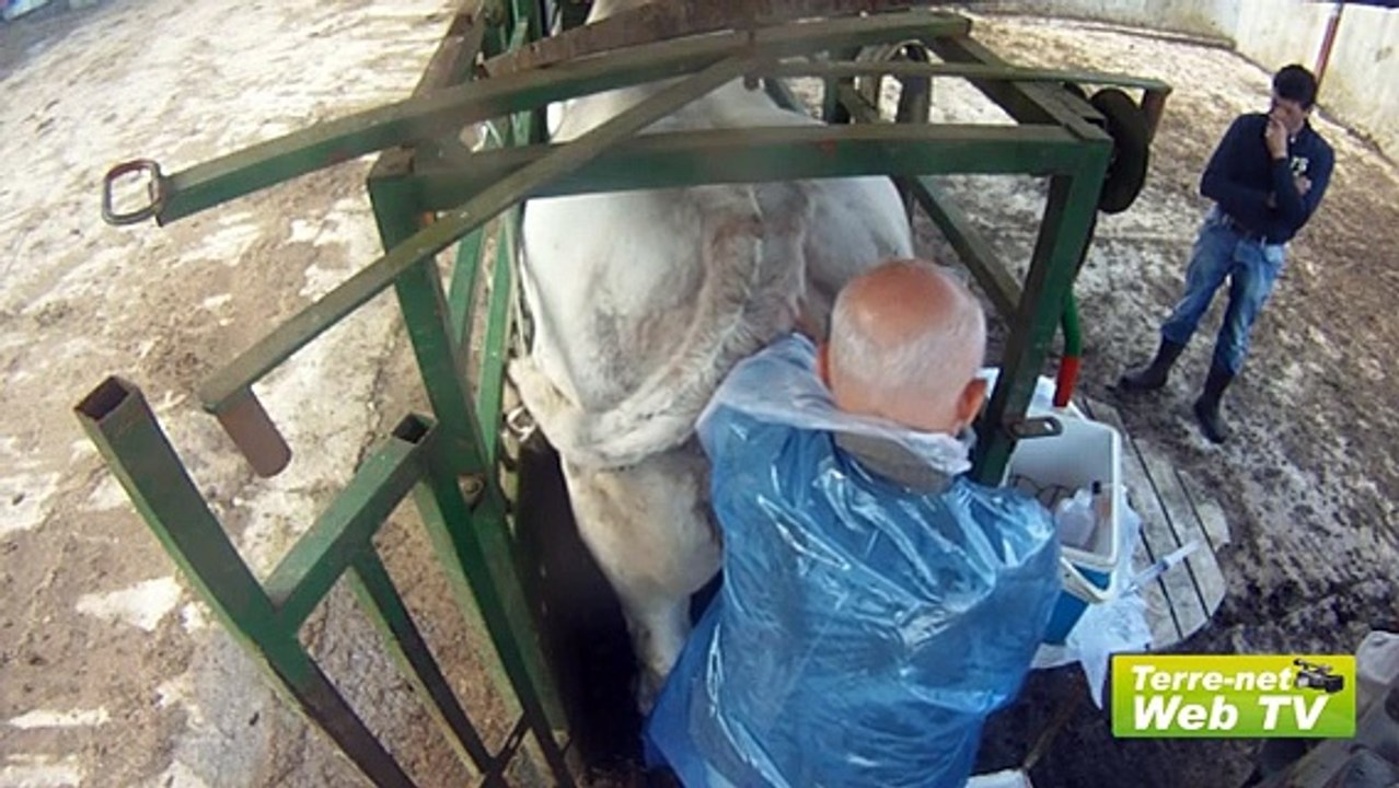 Jacques Manière (vétérinaire) : « Pas compliqué, mais faut pas se rater ! »