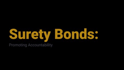 Surety Bonds: Promoting Accountability