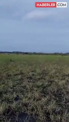 Meksika'da bir askeri öğrenci, helikopterden atladığı sırada paraşütü açılmayınca feci şekilde hayatını kaybetti