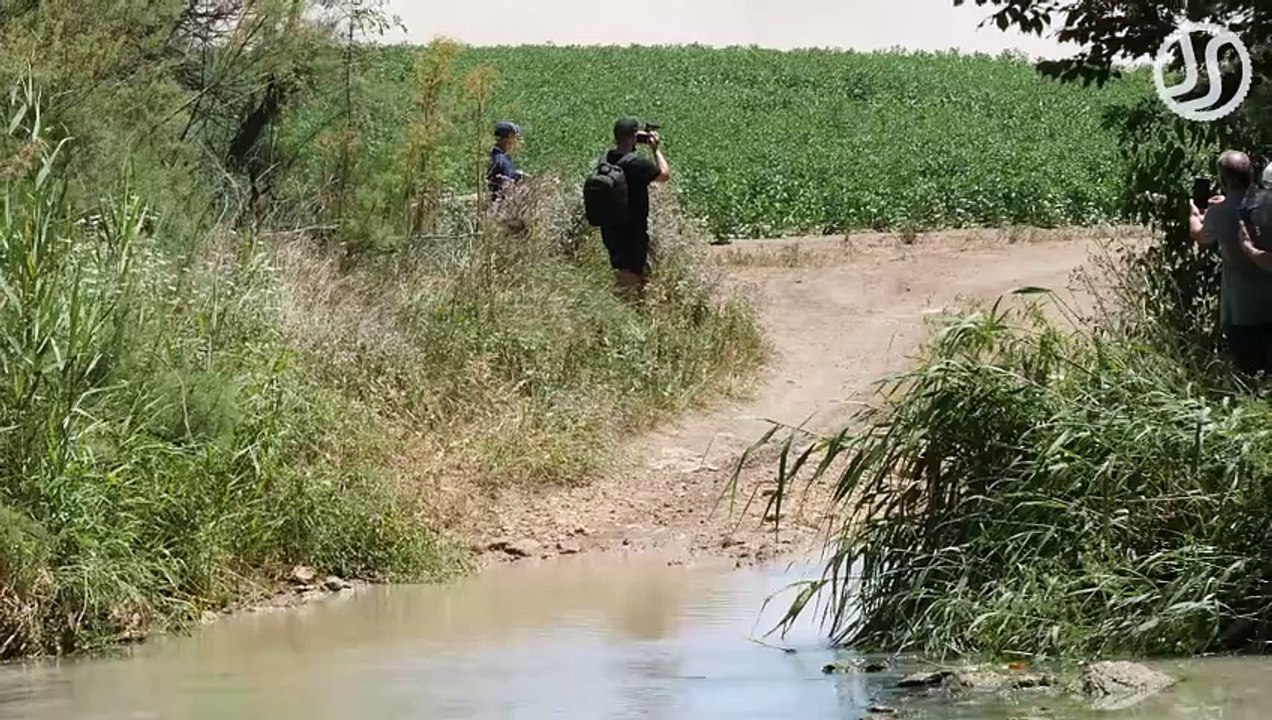 Best of Dakar Cars Rally -2021