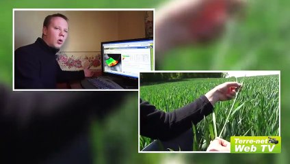 « Avec Farmstar, la dose d'azote varie du simple au double dans une parcelle »