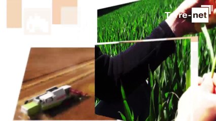 La fertilisation chirurgicale