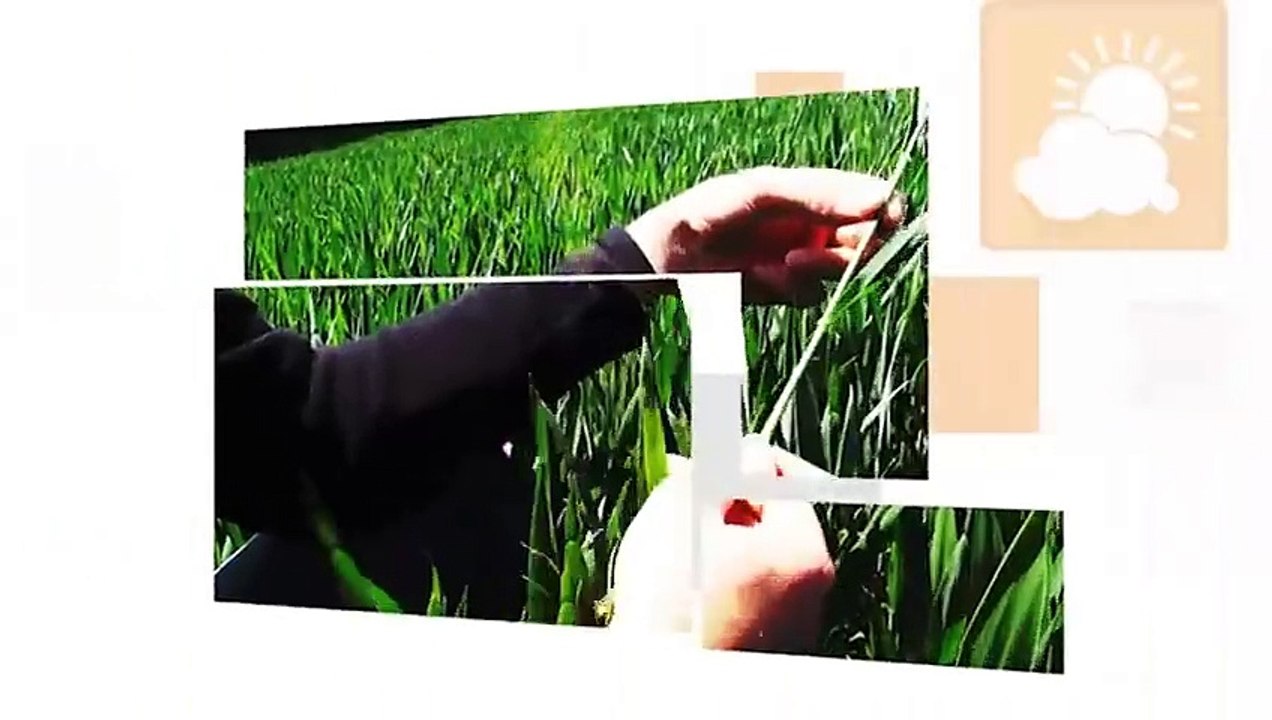 JL Manceau : « Obligé d’irriguer pour faire lever mes orges et mes betteraves »