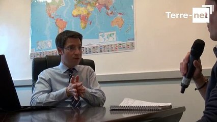 Le marché des oléagineux sur une tendance plutôt baissière