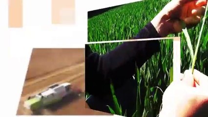 Pas de réponse supplémentaire de Stéphane Le Foll sur la Pac