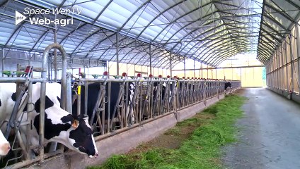 Une stabulation multi-chapelles pour 110 vaches en Mayenne