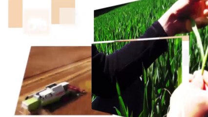 Un Quadtrac de 700 ch avec une charrue de 15 corps !