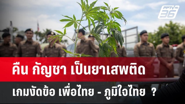 คืน กัญชา เป็นยาเสพติด เกมงัดข้อ เพื่อไทย - ภูมิใจไทย ? | ลึกไม่ลับ | 8 ก.ค. 67