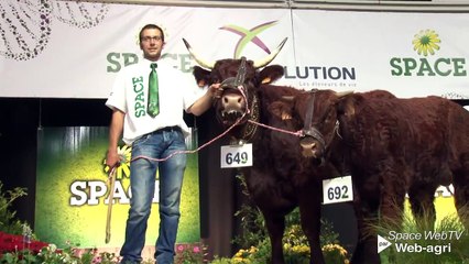 Forez et Gentiane, champions du festival génétique national salers (Maj vidéo)