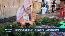 Sebagai Sampingan, Kelompok Ibu-Ibu di Nias Ini Berhasil Budidayakan Rumput Laut