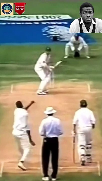 Walsh VS KLUSNER - #cricket #cricketlover #crickethighlights #westindies #southafrica #shorts #short