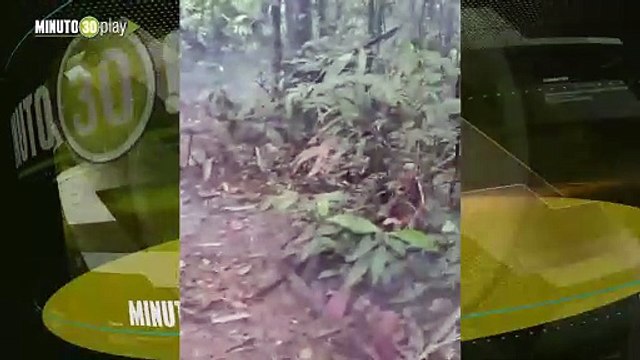 Ejército destruyó minas antipersonales en un camino veredal en Segovia, Antioquia