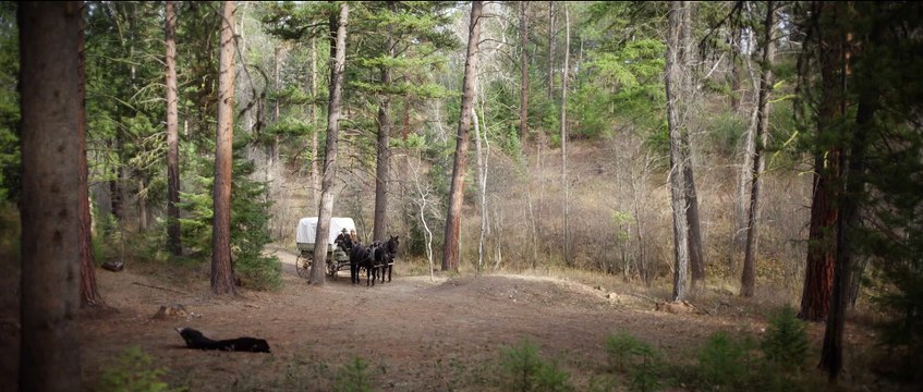 Thine Ears Shall Bleed - Trailer