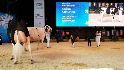 [Photos + vidéo] Palmarès Colmar 2016 : les championnes pour deux Vray !