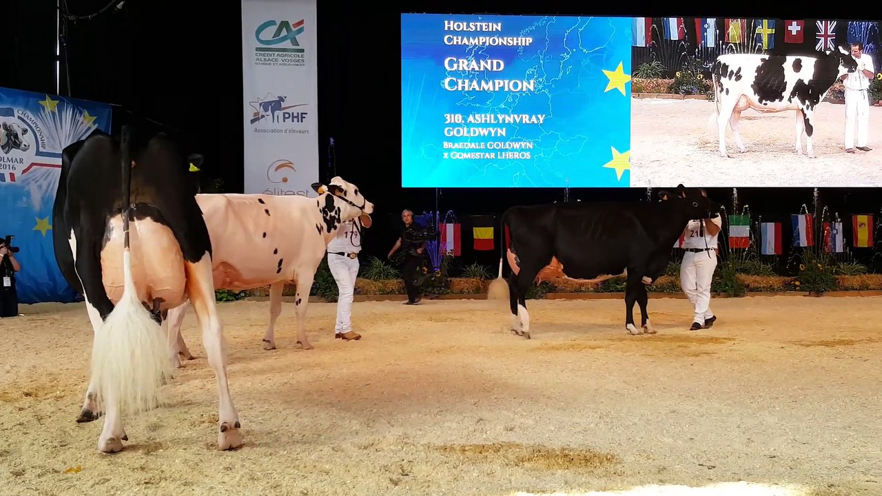 [Photos + vidéo] Palmarès Colmar 2016 : les championnes pour deux Vray !