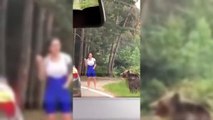 Urso investe contra mulher que tentava tirar selfie com ele