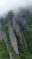 LES PLUS TRANCHANTS paysage de la province de Hubei en Chine : Shennongjia [@amazingtaushun]