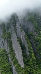 LES PLUS TRANCHANTS paysage de la province de Hubei en Chine : Shennongjia [@amazingtaushun]