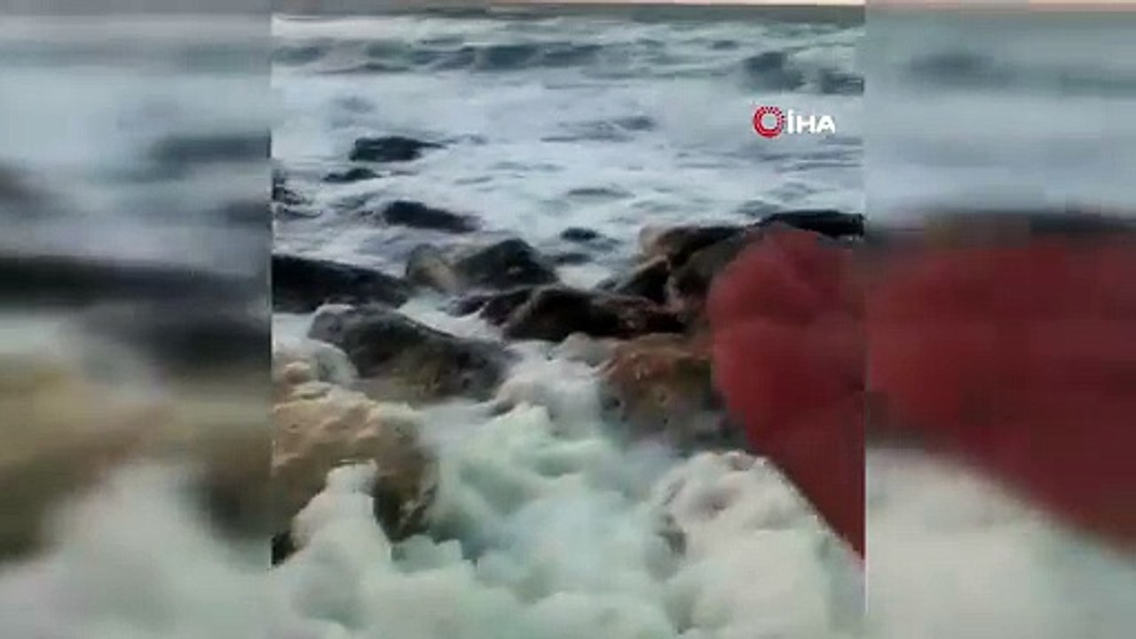 Yasağı yok sayıp canlarını tehlikeye attılar