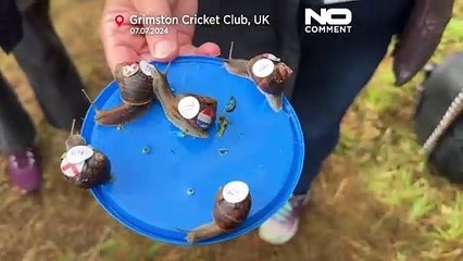 No comment : un championnat mondial de course d'escargot en Angleterre