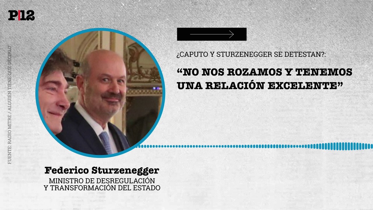 Sturzenegger negó detestarse con Caputo: "No nos rozamos y tenemos una relación excelente"