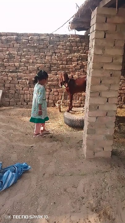 VID_20240628_082056