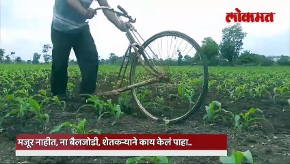 या शेतकऱ्याचा देसी जुगाड पाहाल तर कौतूक कराल