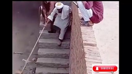 Try Not To Laugh I Eid Ul Adha Viral Moment I Anari Pagal Qasai I Funny Old Man