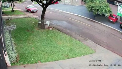 Indivíduo é flagrado escalando árvore para furtar fios no Coqueiral