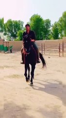 Horse_riding__Farm_house_ Rafay chaudhary vlogs_Enjoyment_#punjab_#pakistan_#youtubeshorts_#horse_#trending_#youtube(360p)