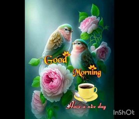 Qari Muhammad saghir tilawat