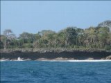 Shimoni, l'île de Wasini N'Dogo et sa barrière de corails