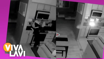 Perro provoca incendio en la casa de sus dueños