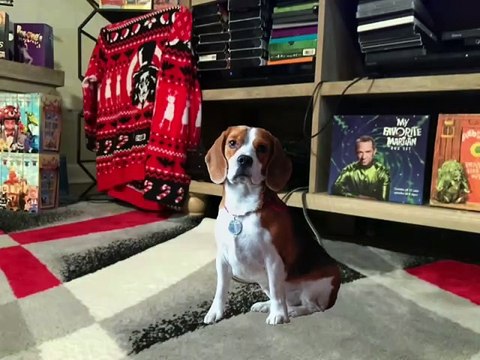 Jim Henson Dogs Xexuson - Real Life Dog Segment - Puppy School Library